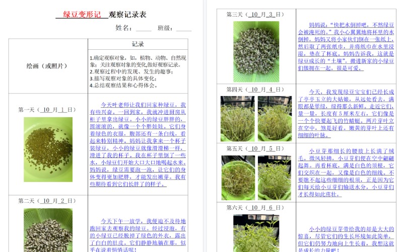 【8页完整版】四上语文观察记录表-免费学习资料下载 - 开学吧