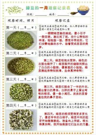 四年级上册语文习作三：绿豆的一周观察日记1《写观察日记》9页-免费学习资料下载 - 开学吧