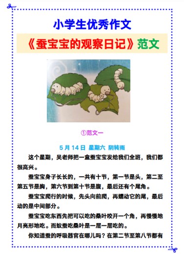 31份！观察日记最新整理持续更新版-高清完整-免费学习资料下载 - 开学吧