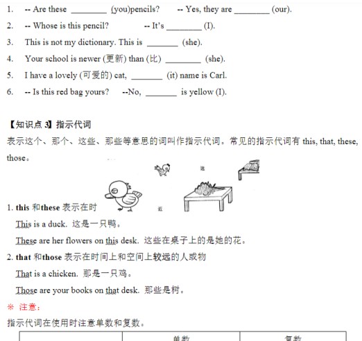 10页小升初语法专题讲练第6讲：代词（一）-免费学习资料下载 - 开学吧