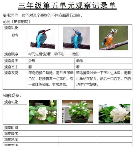 三年级第五单元观察记录单-免费学习资料下载 - 开学吧