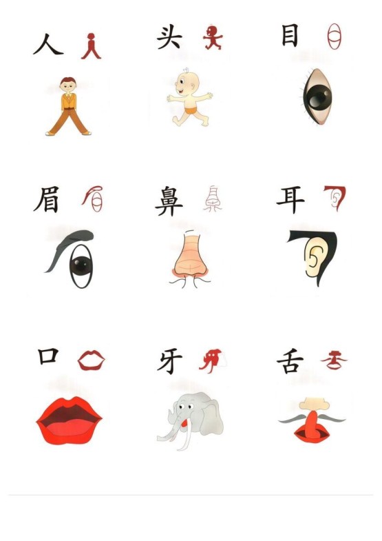 直映识字象形文字（整理版最新）-免费学习资料下载 - 开学吧