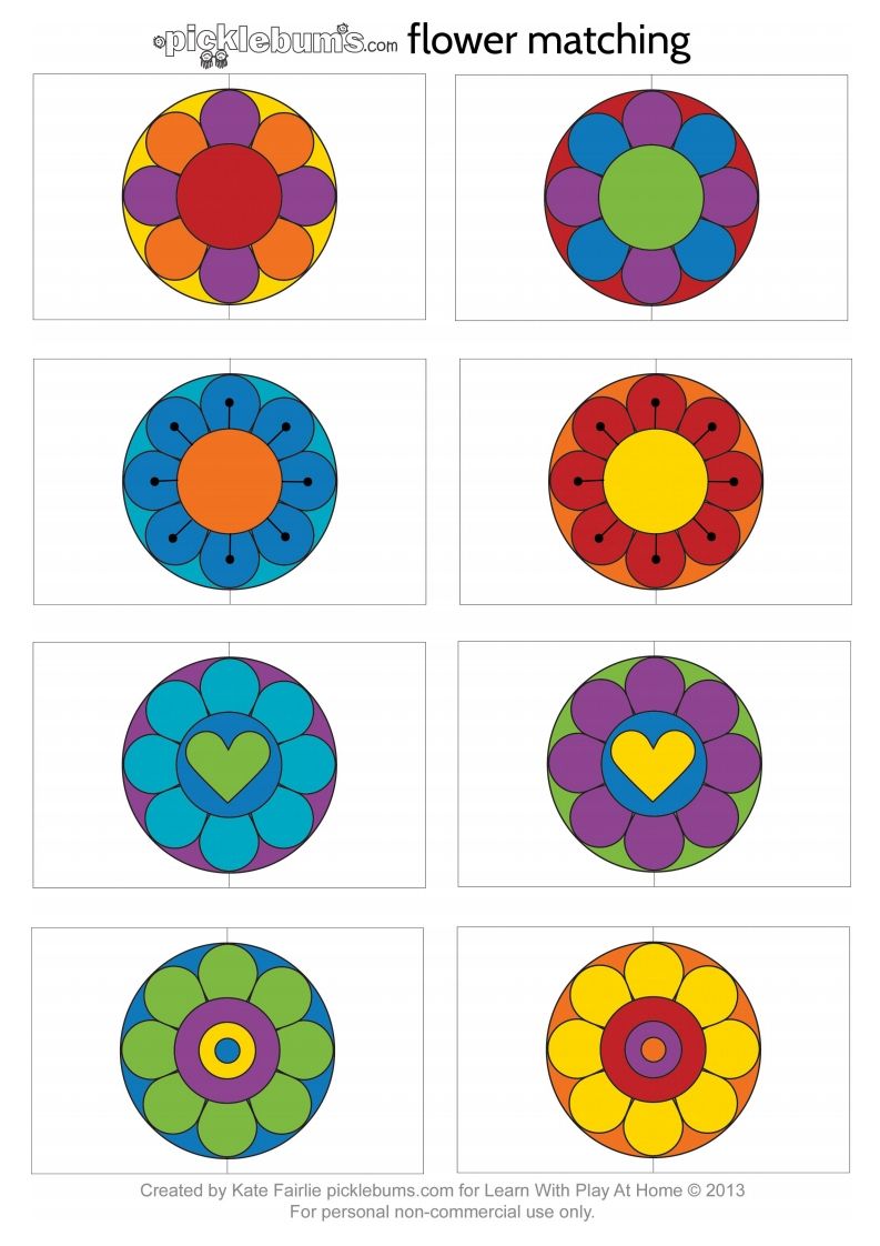 记忆卡片12-小初高学习资料下载_真题试卷 - 开学吧资料库