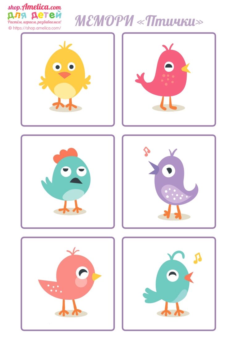 记忆卡片13-小初高学习资料下载_真题试卷 - 开学吧资料库