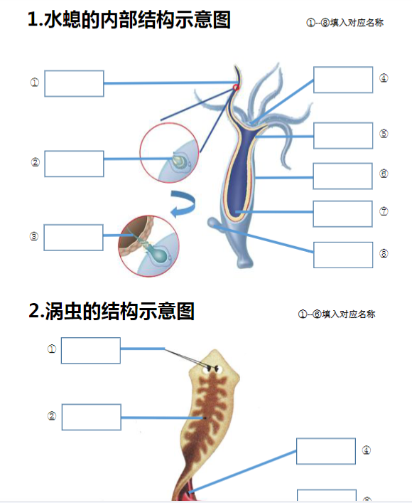 12页！八上生物20个重点图-开学吧