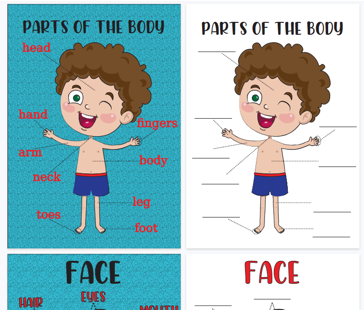【5页高清彩色版】BODY五官身体部位作业纸【完整可直接打印】认知主题词汇练习纸-开学吧