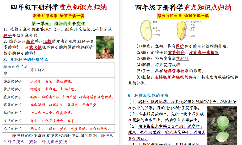 【2026春20页完整版】四年级下册科学知识点归纳-小初高学习资料下载_真题试卷 - 开学吧资料库