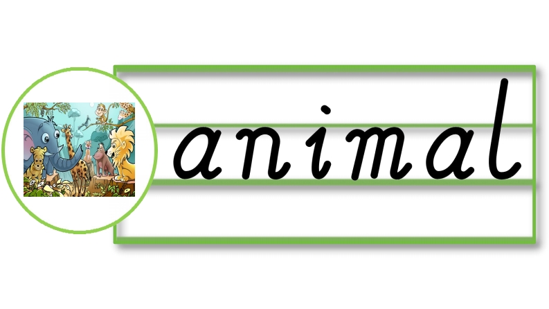 外研社新改版三起三下英语U1-6单词词卡-小初高学习资料下载_真题试卷 - 开学吧资料库