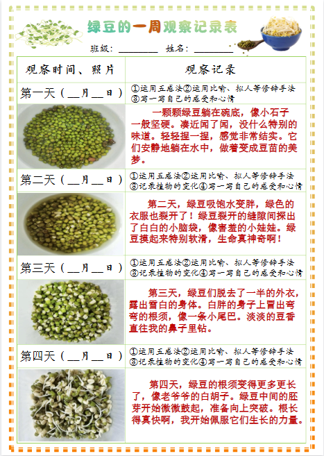 四年级上册语文习作三：绿豆的一周观察日记1《写观察日记》9页-开学吧