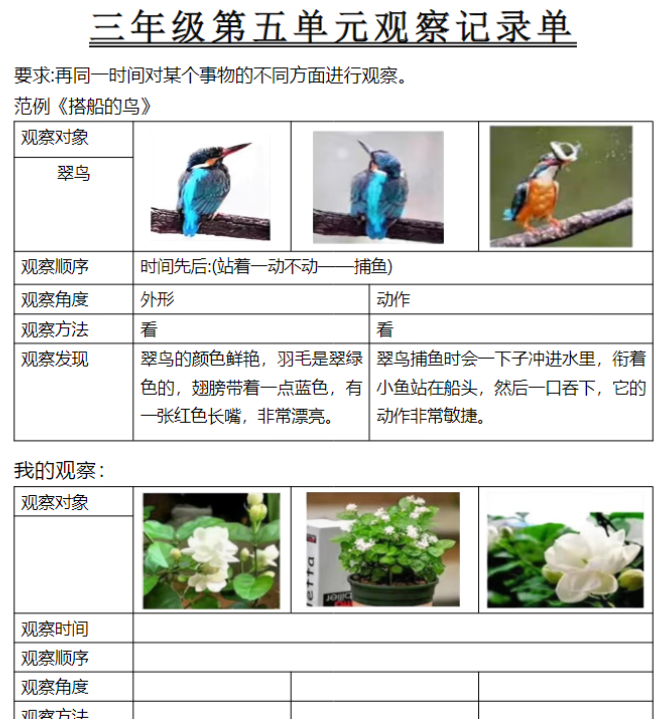 三年级第五单元观察记录单-开学吧