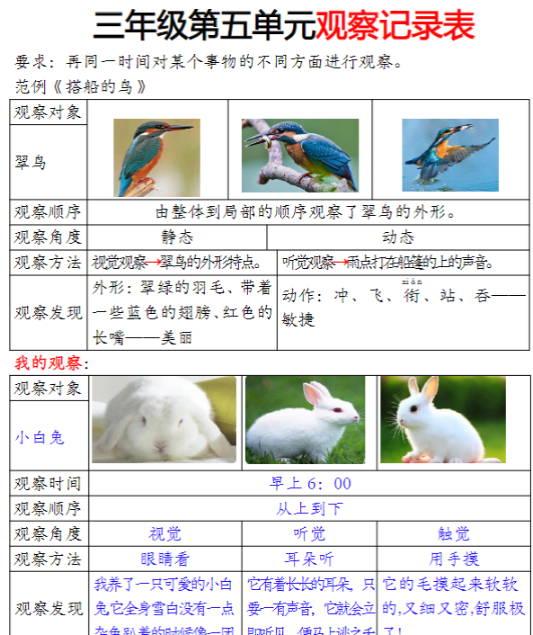 三年级观察记录单答案-开学吧