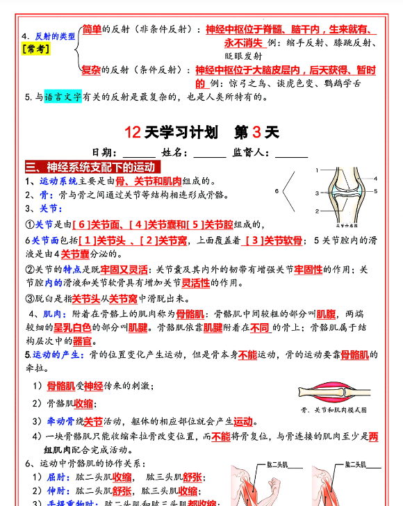 新版八年级上册生物（人教版）12天学习计划（答案版）-开学吧